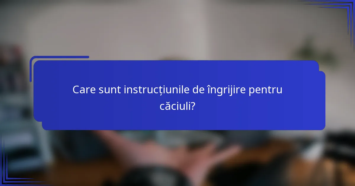Care sunt instrucțiunile de îngrijire pentru căciuli?