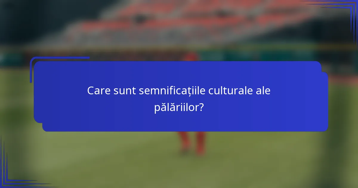 Care sunt semnificațiile culturale ale pălăriilor?