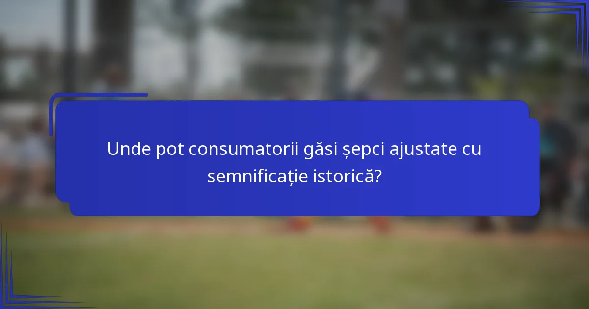 Unde pot consumatorii găsi șepci ajustate cu semnificație istorică?