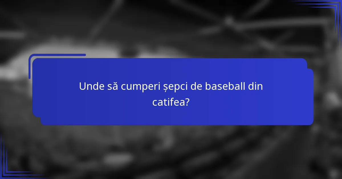 Unde să cumperi șepci de baseball din catifea?